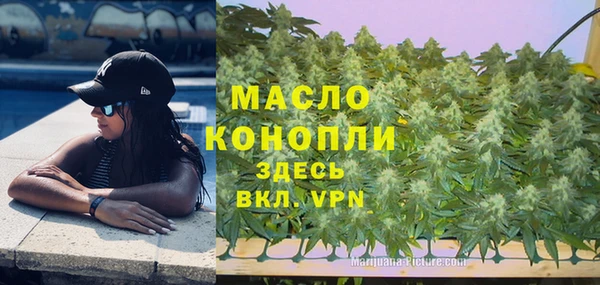гидра Алексин